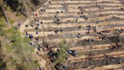 Марийские Делороссы провели посадку леса в рамках проекта "Лес Победы"